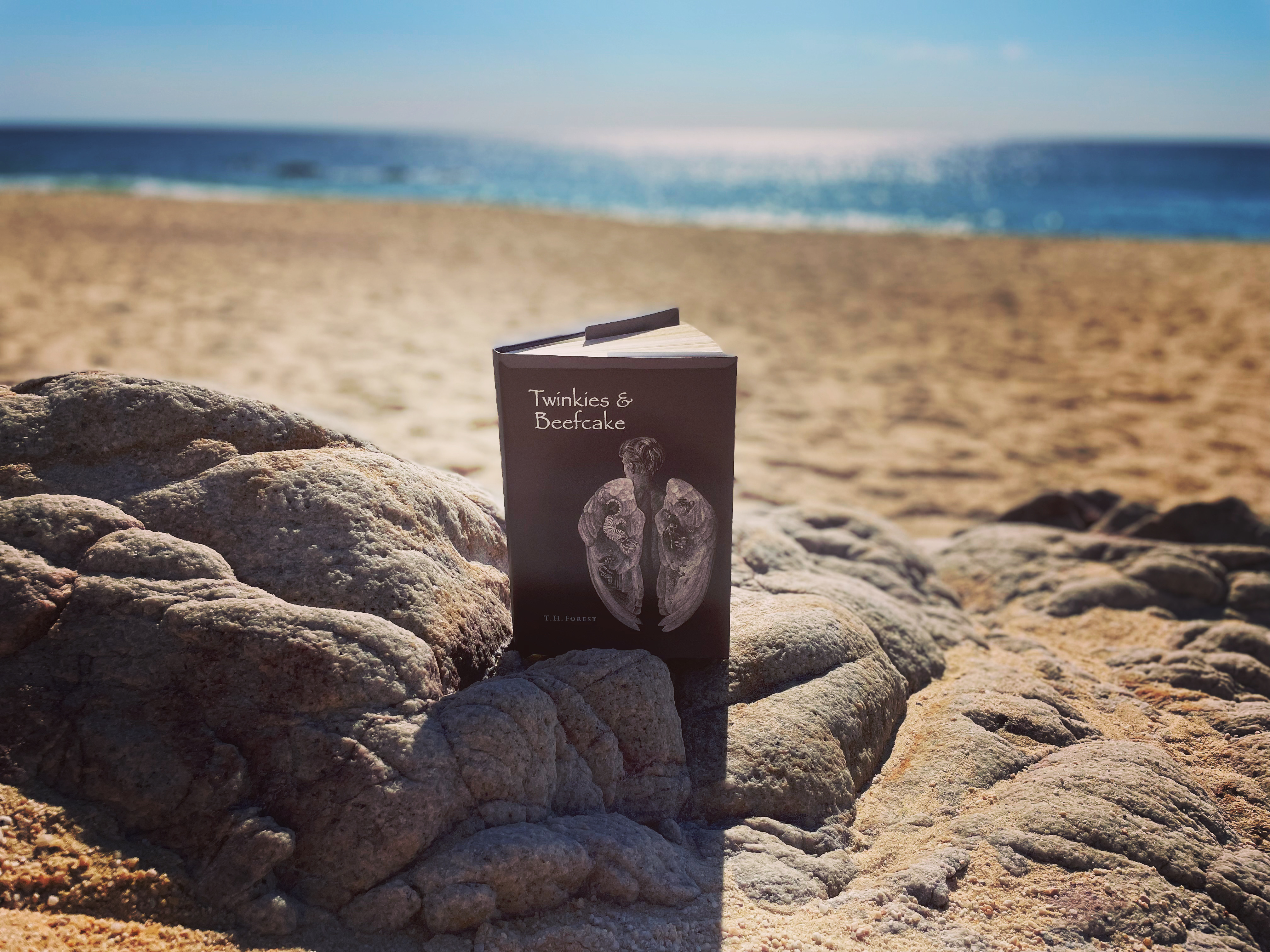 Twinkies & BeefCake Book Photo